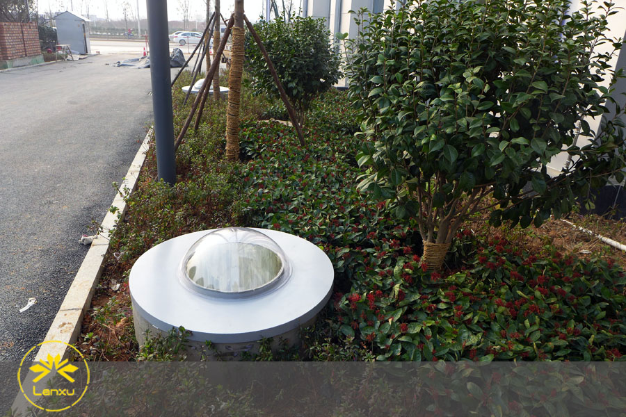w02.jpg